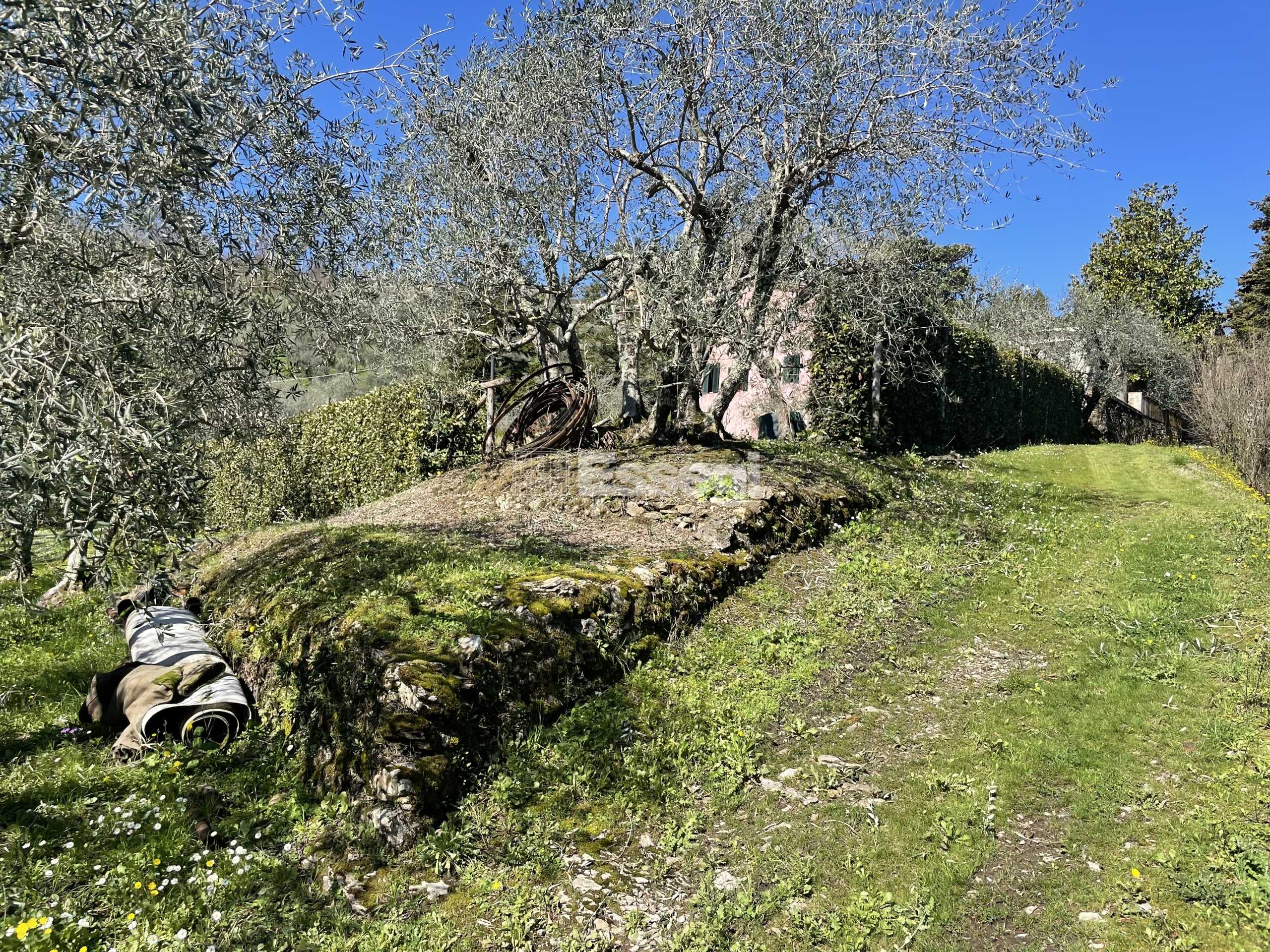  - foto 29
