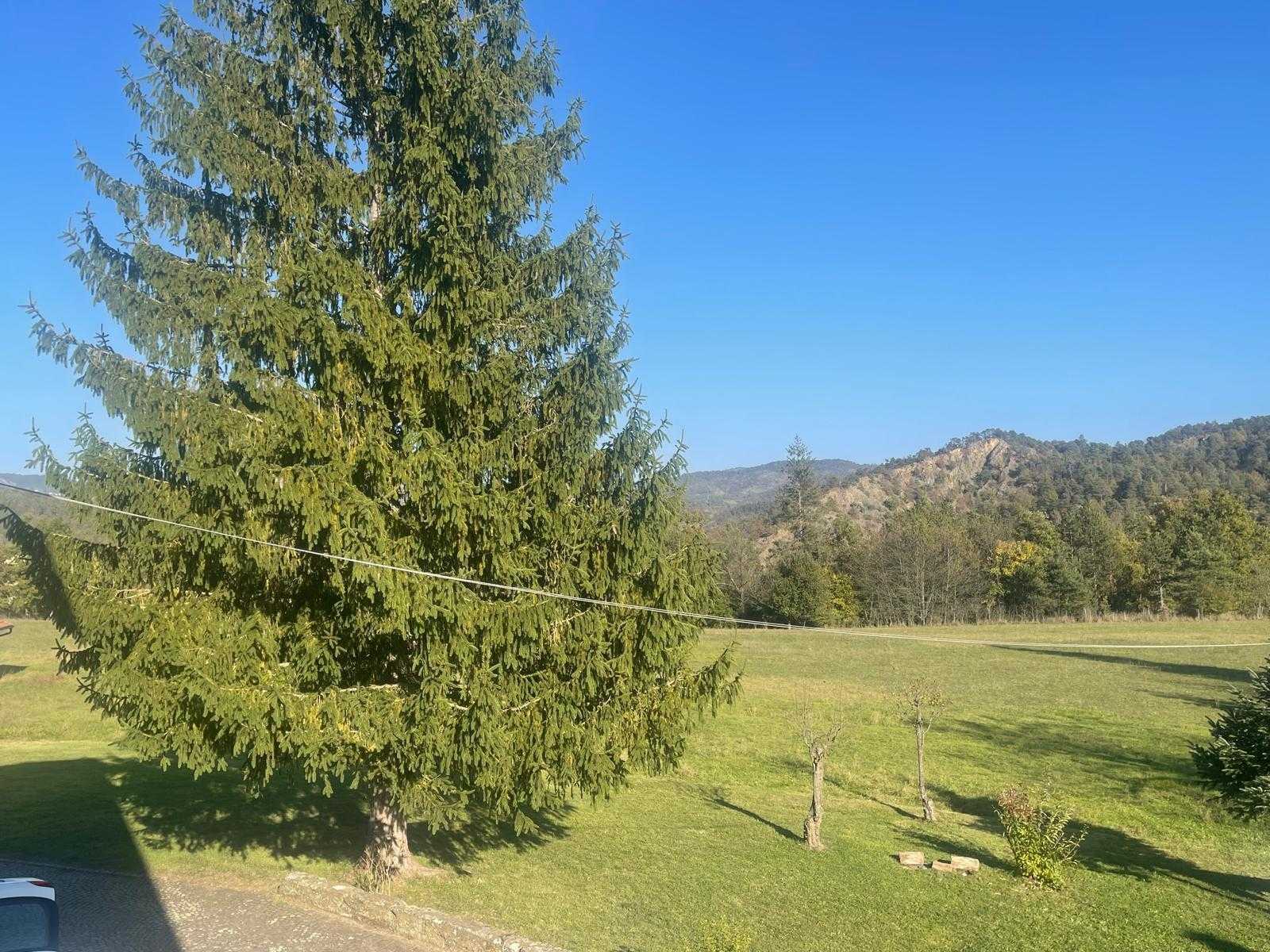  - foto 57