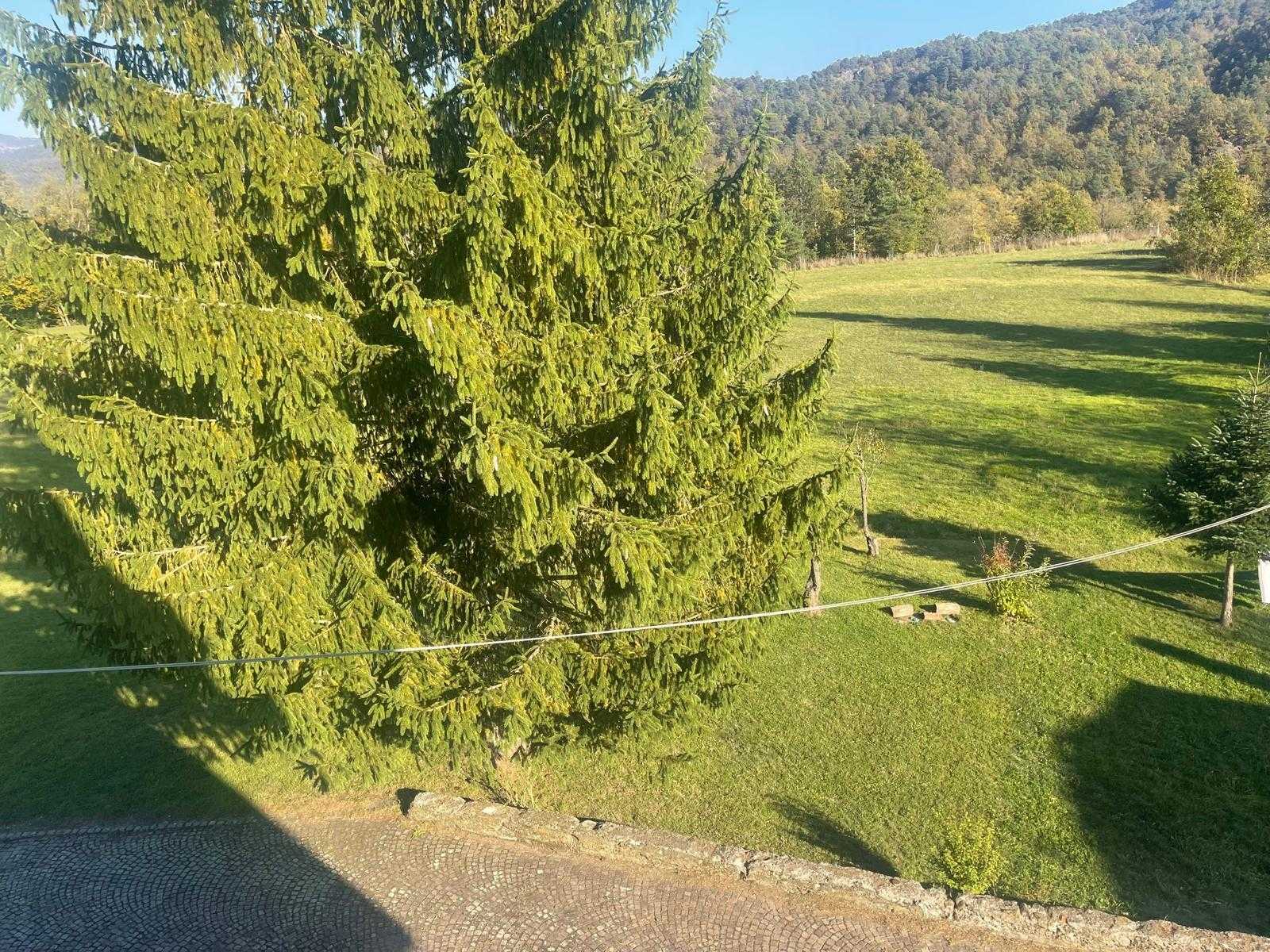  - foto 58