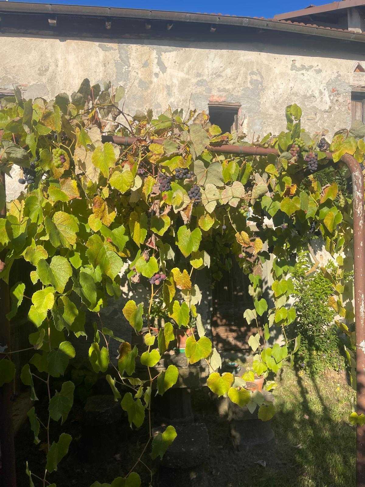  - foto 60