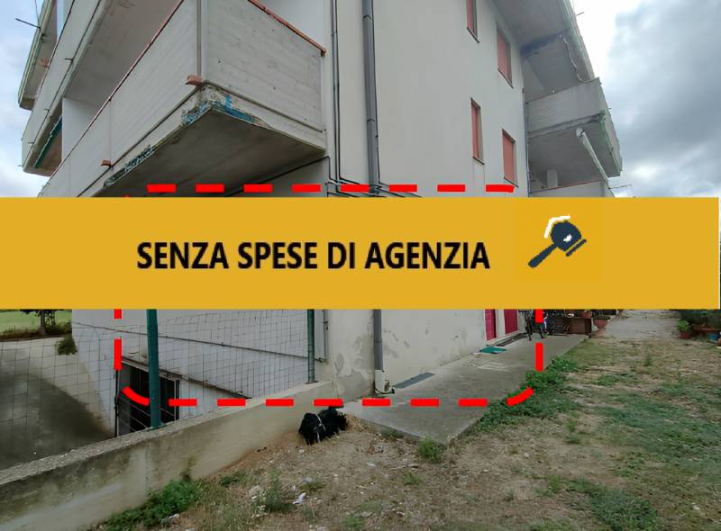 immagine annuncio 1 di 7