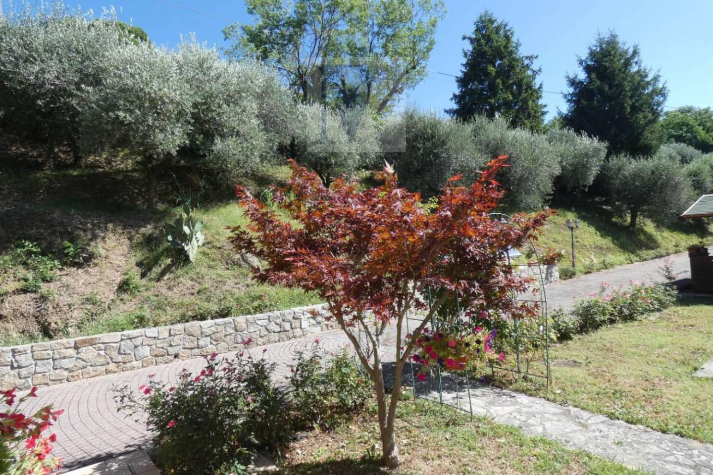 immagine annuncio 9 di 10