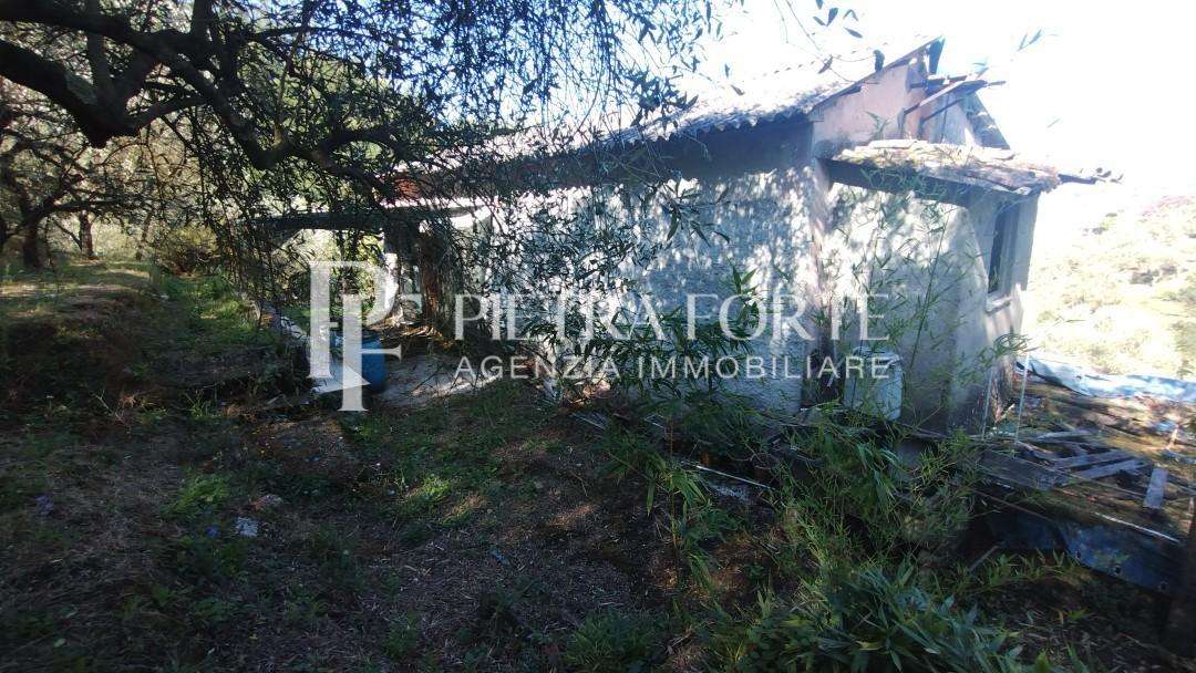 immagine annuncio 11 di 13