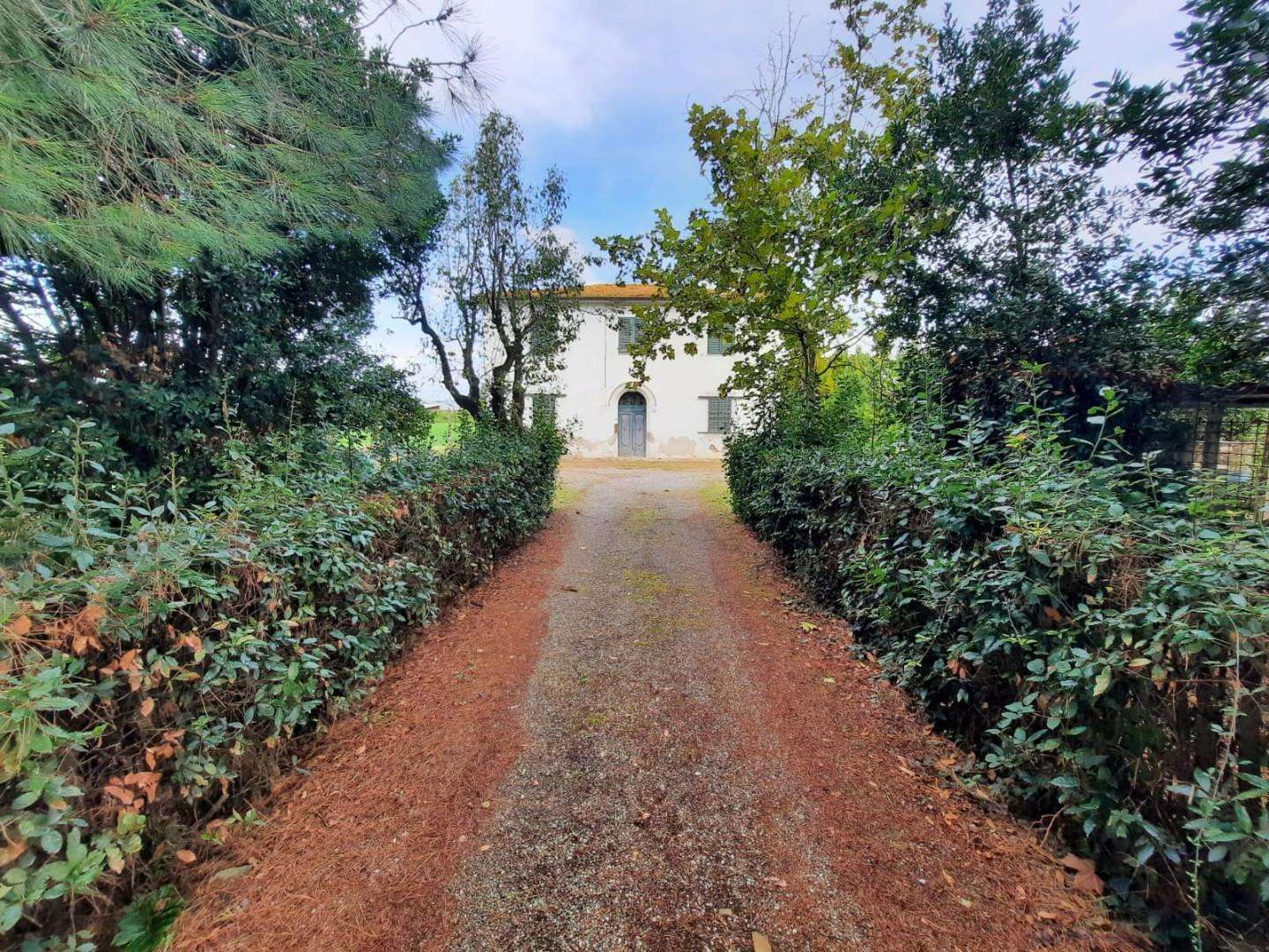 casa indipendente in vendita a Terricciola in zona Selvatelle