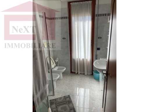  - foto 13