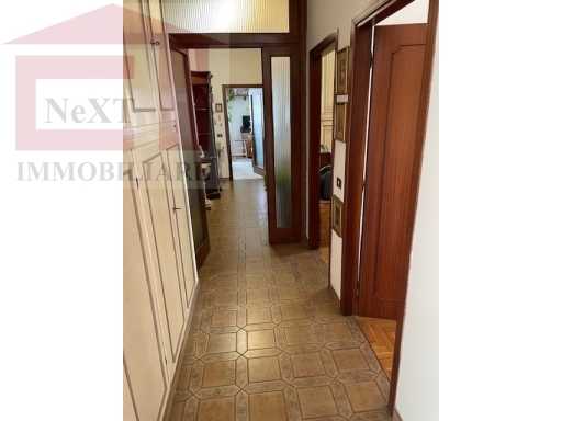  - foto 15