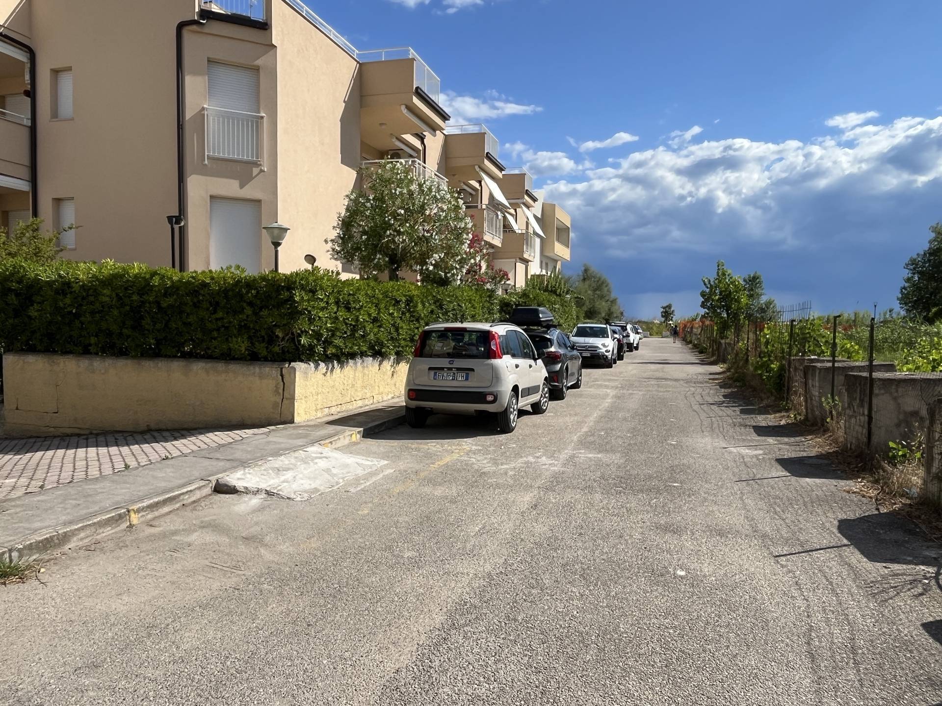 immagine annuncio 2 di 14