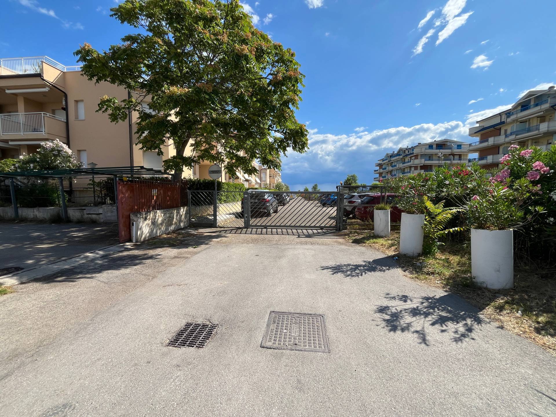 immagine annuncio 5 di 14