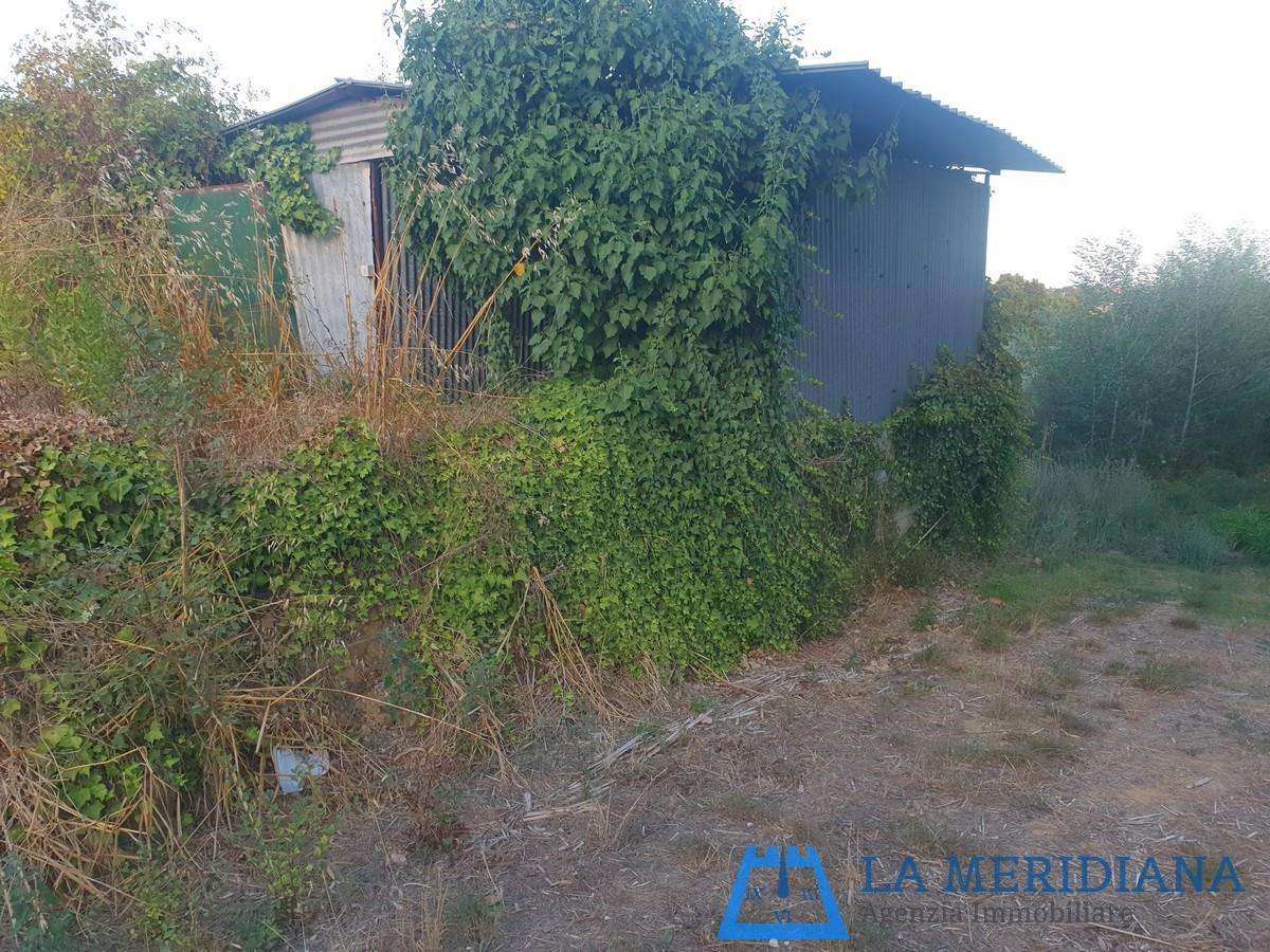  - foto 36