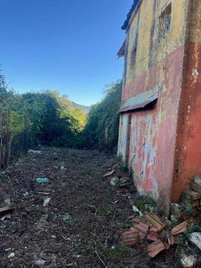  - foto 5