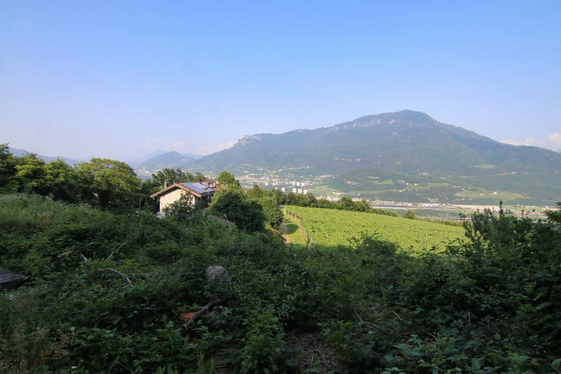  - foto 11