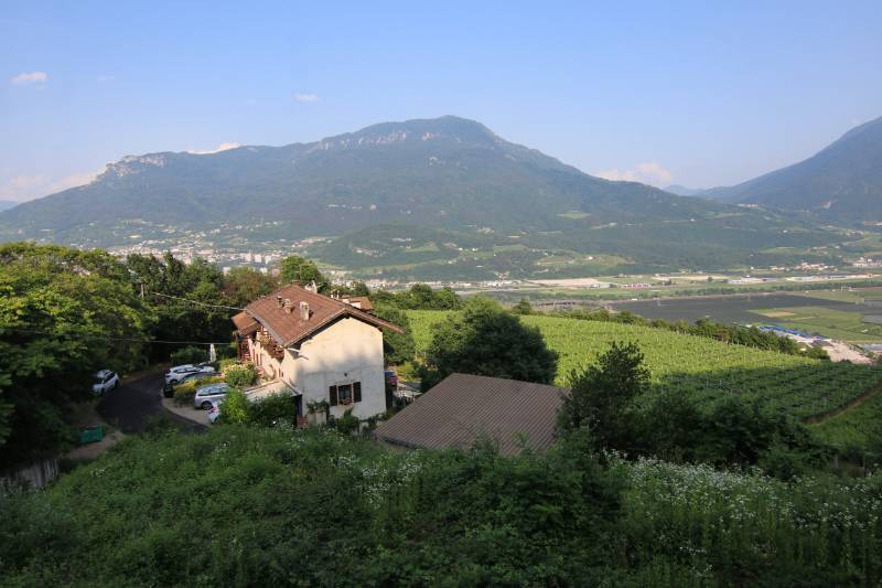  - foto 12