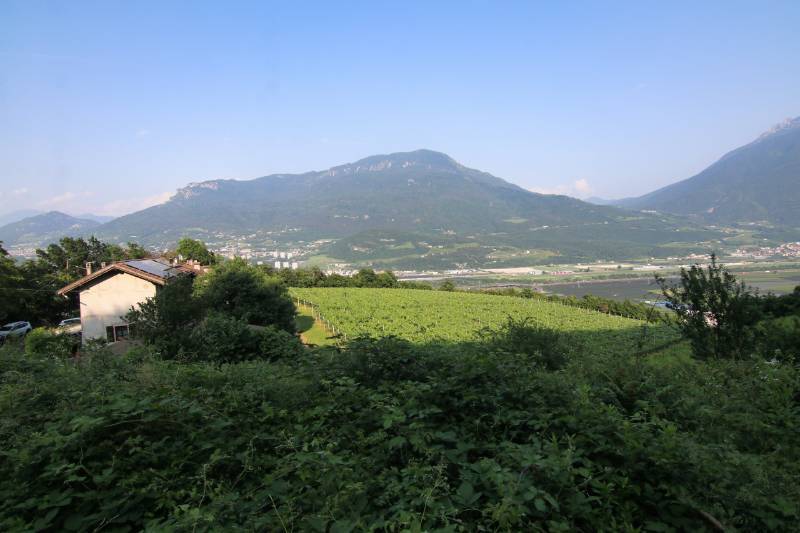  - foto 14