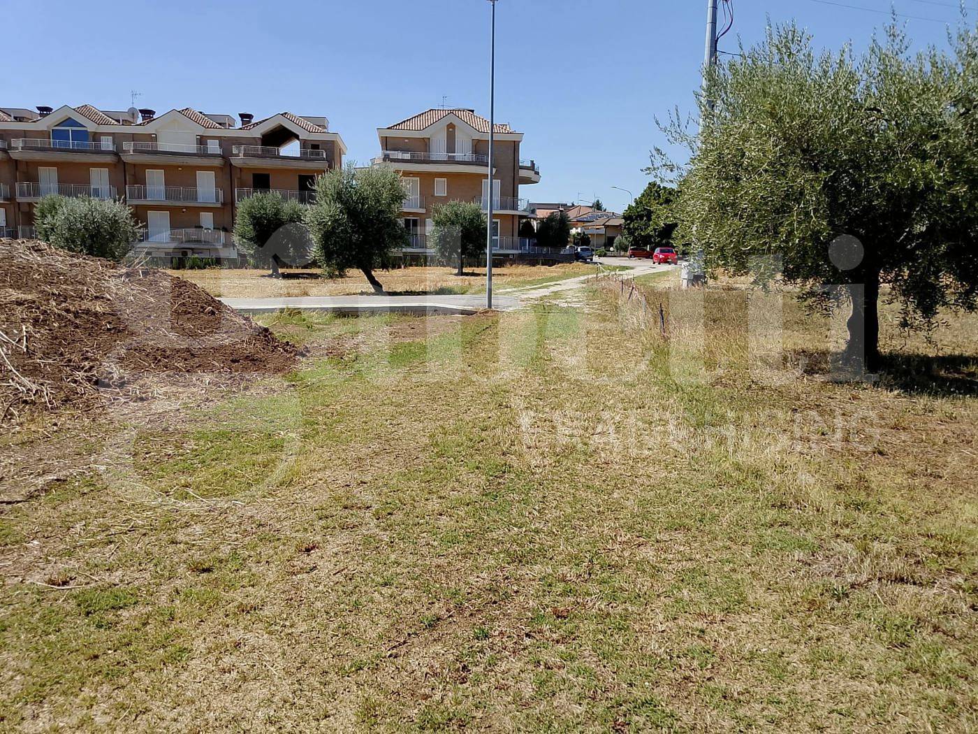 immagine annuncio 4 di 8
