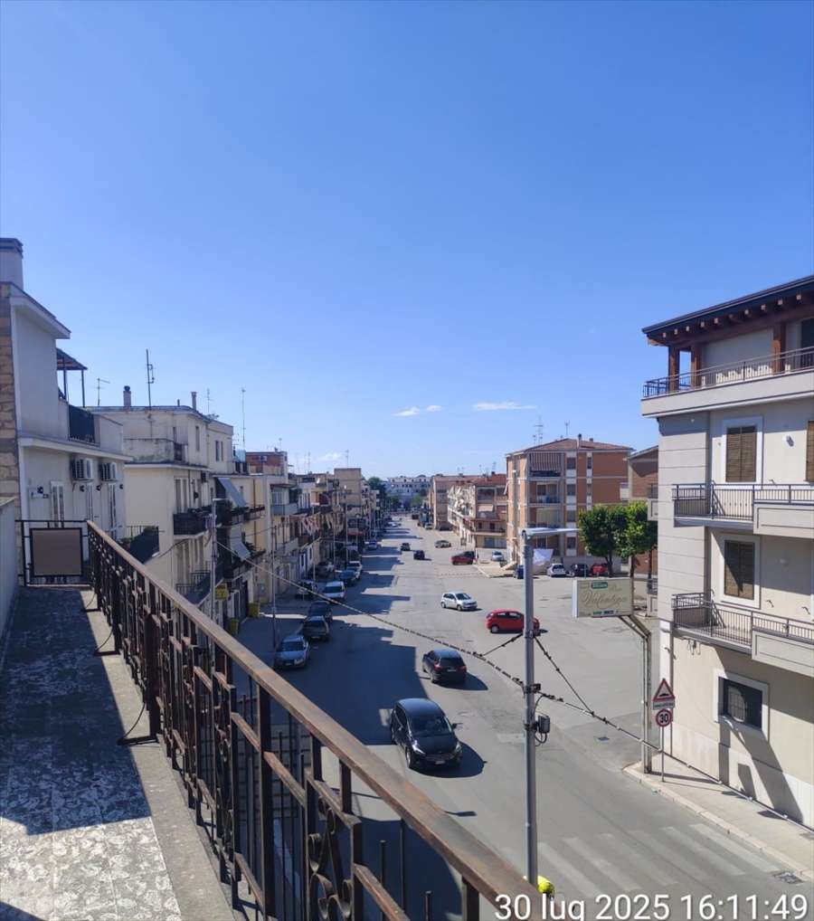 immagine annuncio 3 di 8