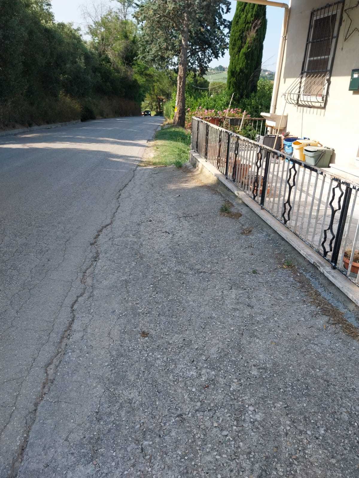  - foto 11
