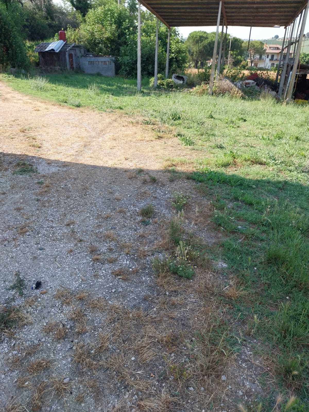  - foto 16