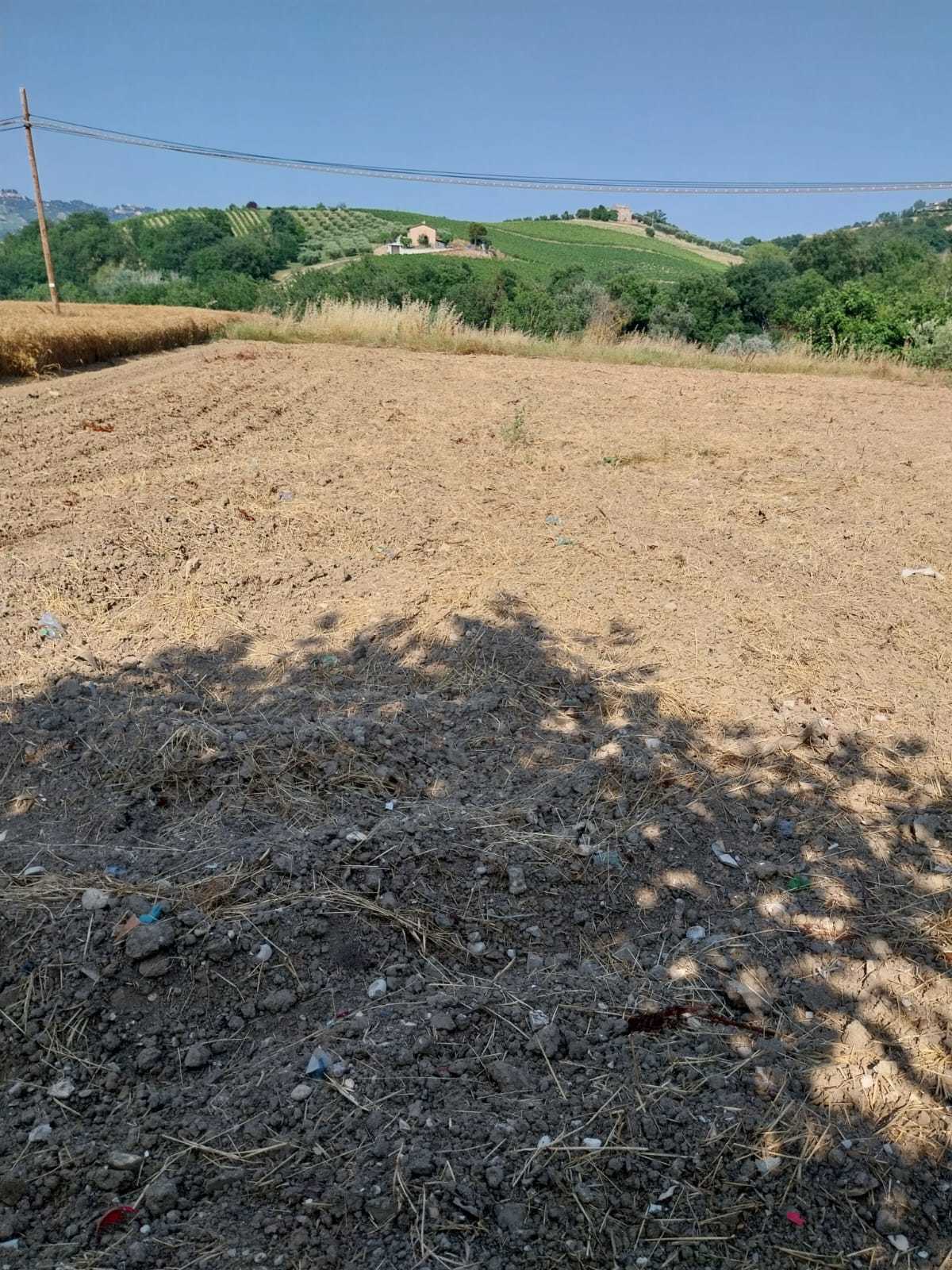  - foto 4