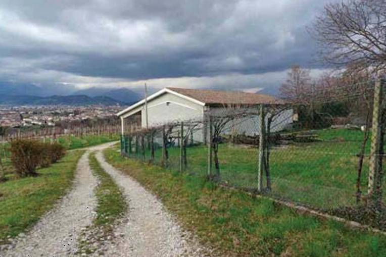 immagine annuncio 5 di 10