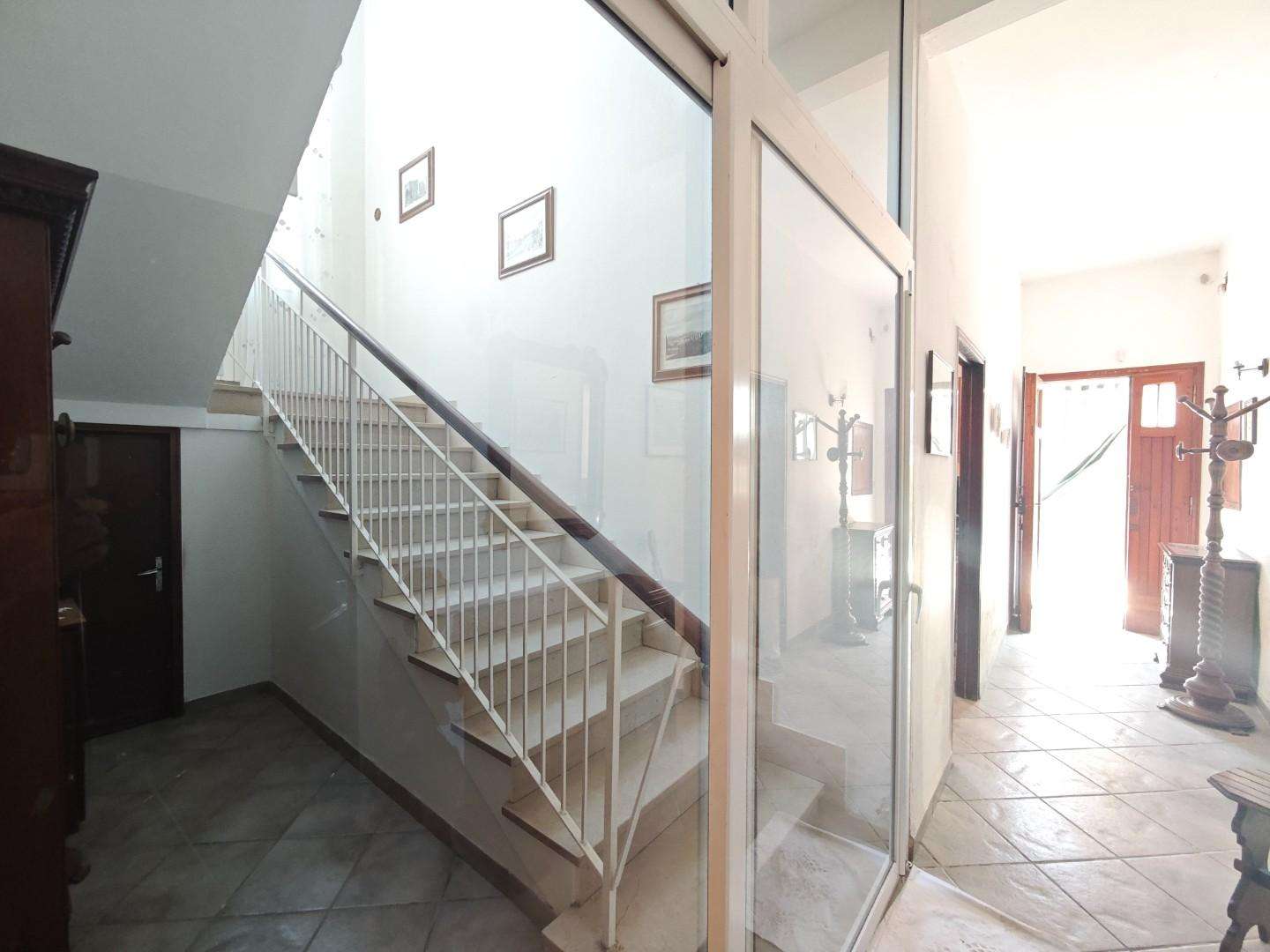  - foto 13