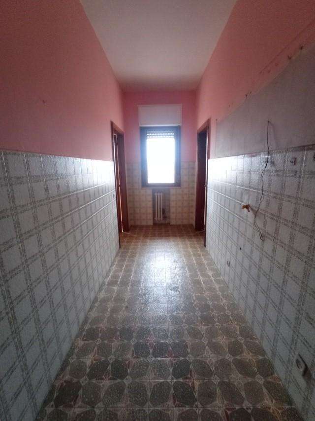  - foto 11
