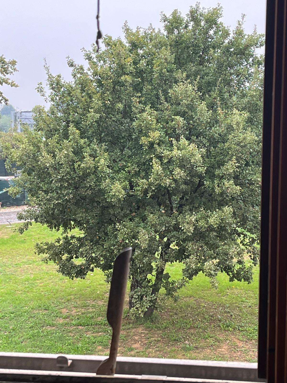  - foto 22