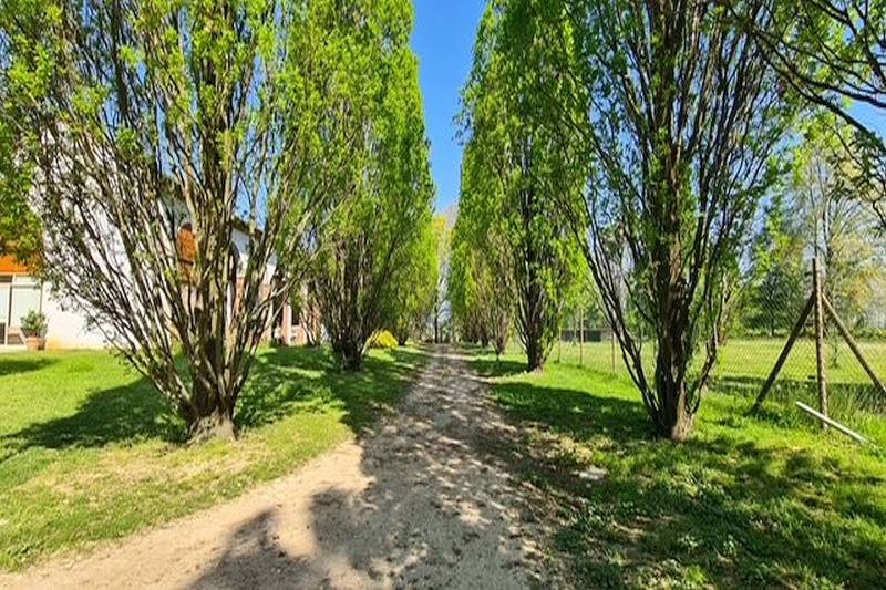  - foto 24