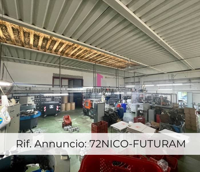 immagine annuncio 2 di 10