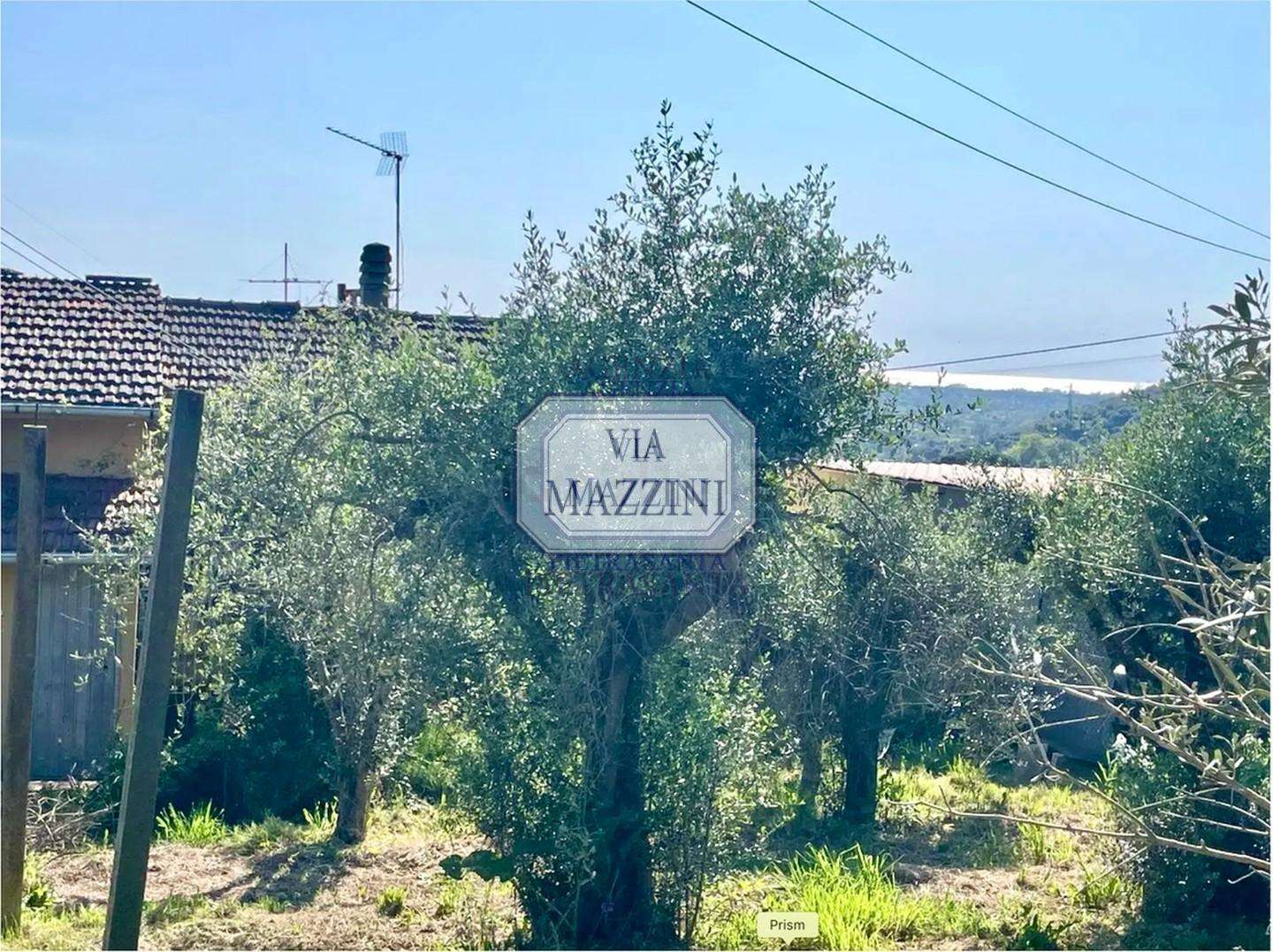  - foto 9