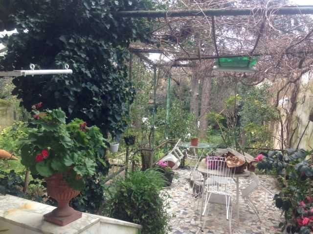  - foto 17