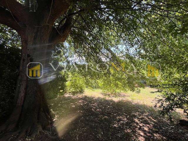  - foto 30