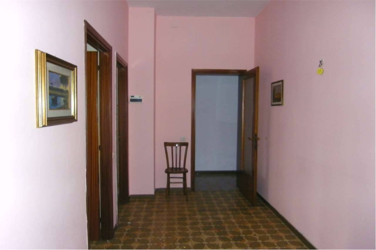 immagine annuncio 5 di 7