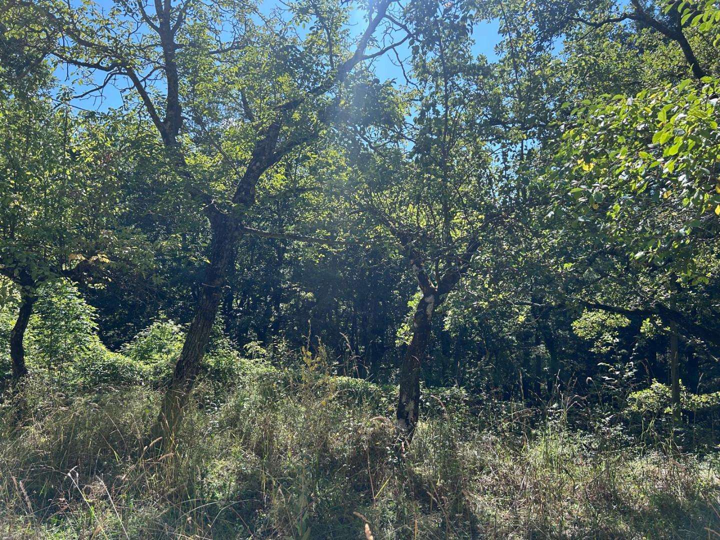  - foto 15