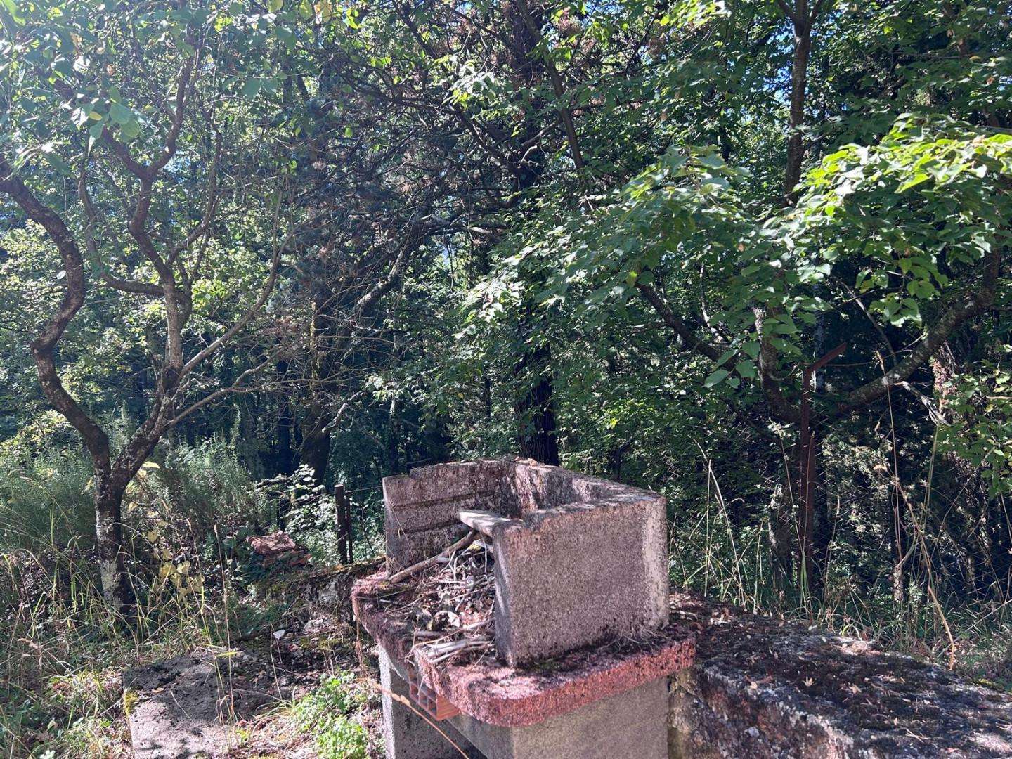  - foto 16