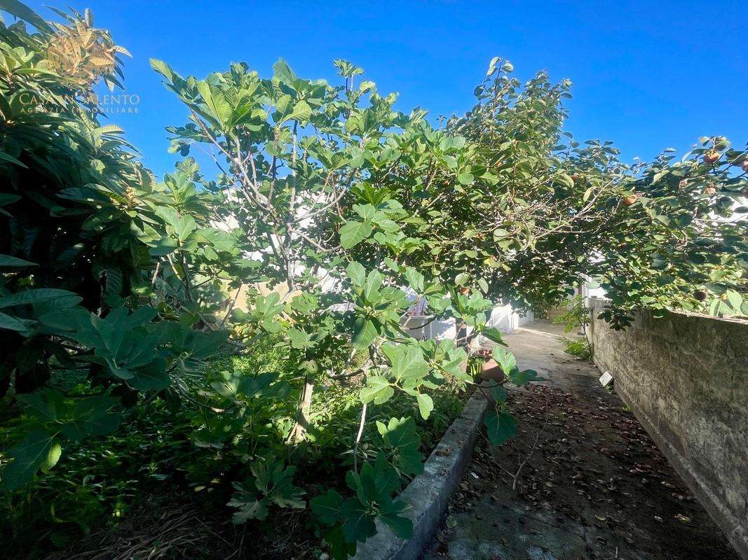  - foto 16