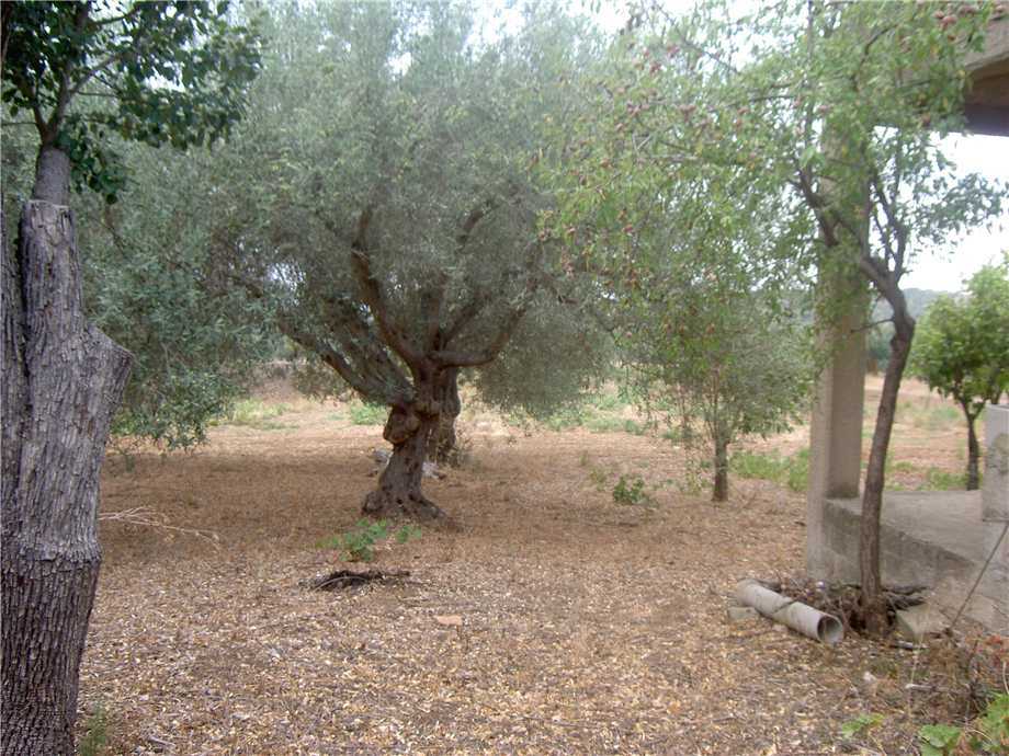  - foto 6