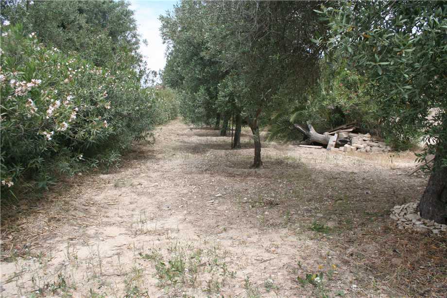  - foto 12
