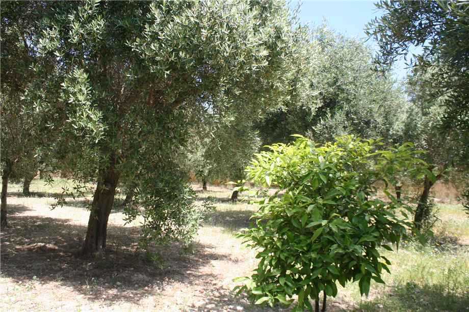  - foto 3