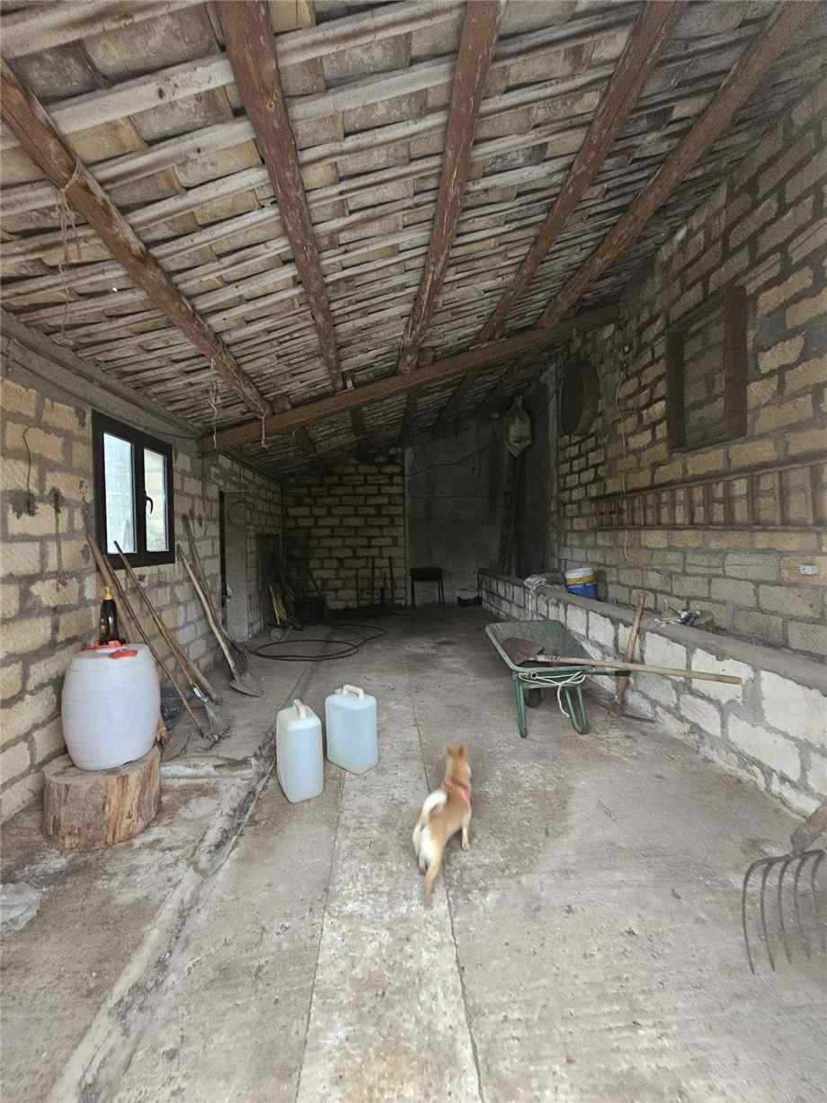 immagine annuncio 11 di 14