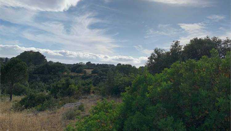  - foto 16
