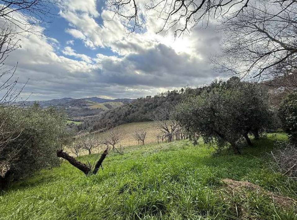 immagine annuncio 1 di 10