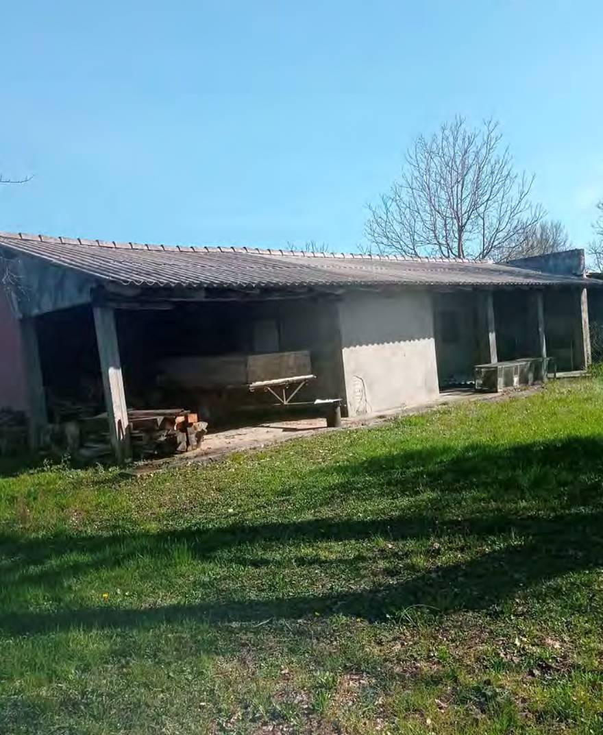 immagine annuncio 4 di 10