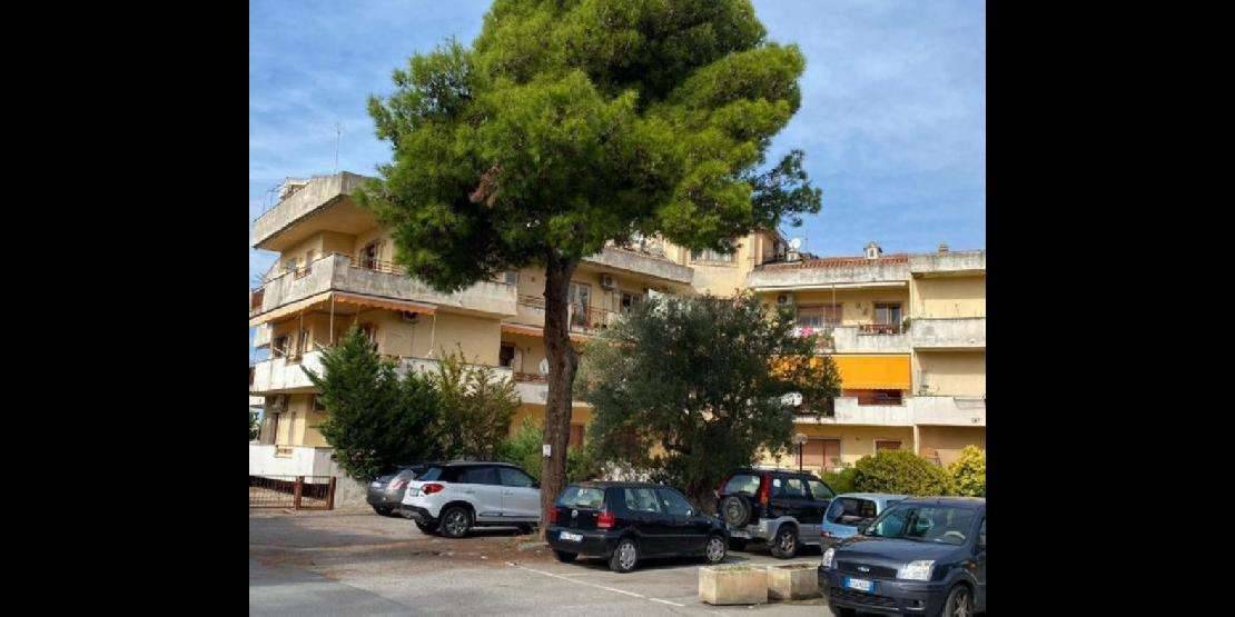 immagine annuncio 2 di 9