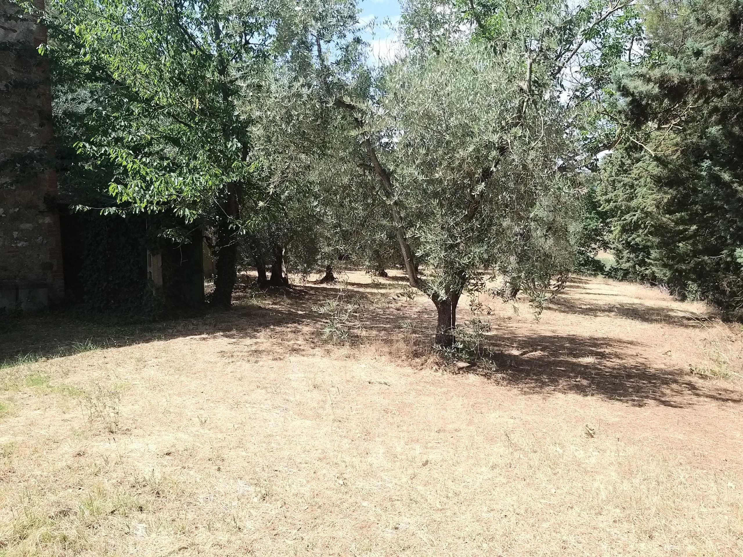  - foto 40