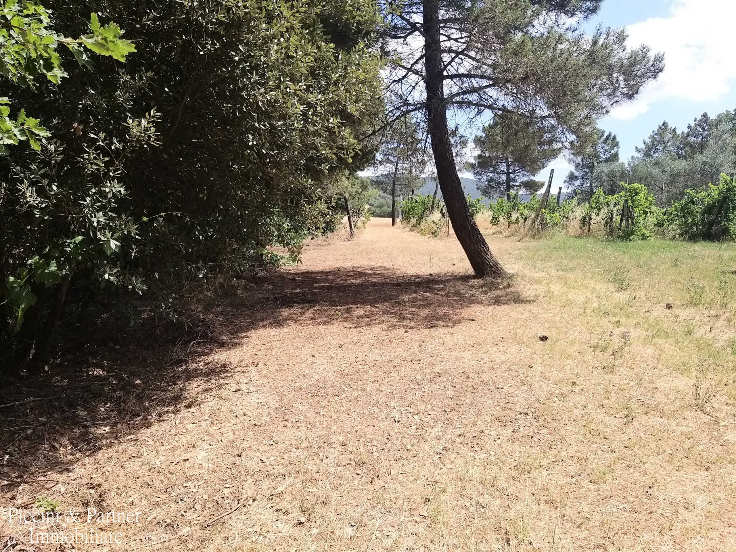  - foto 42