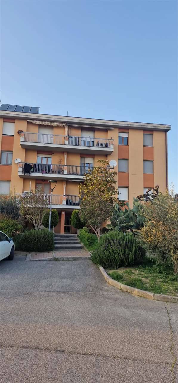 immagine annuncio 4 di 10