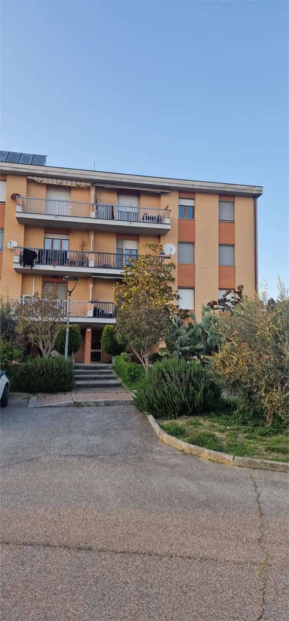 immagine annuncio 5 di 10
