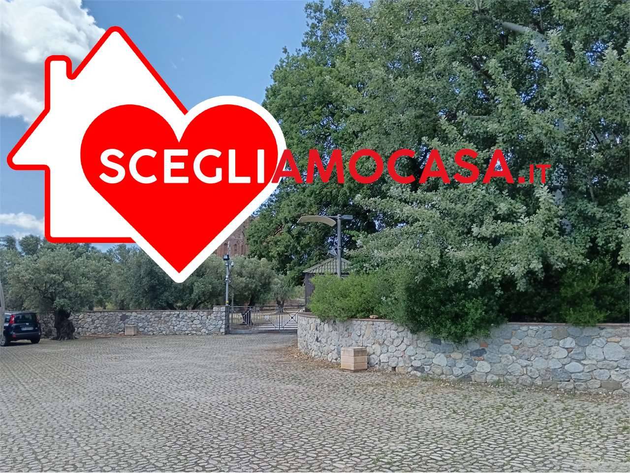 immagine annuncio 1 di 4