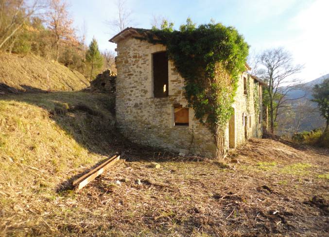 immagine annuncio 8 di 9