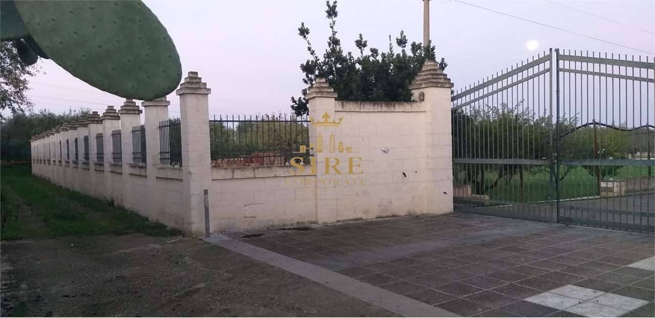immagine annuncio 4 di 7